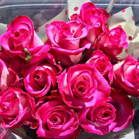 Meet your Posher, Athanasia - Picture 1 of 1